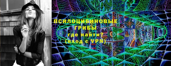 apvp Заводоуковск