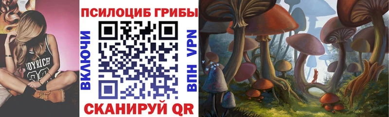 Псилоцибиновые грибы прущие грибы  Купить закладки  Рубцовск 