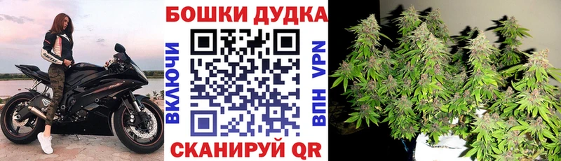 Купить где  Рубцовск  Марихуана SATIVA & INDICA 